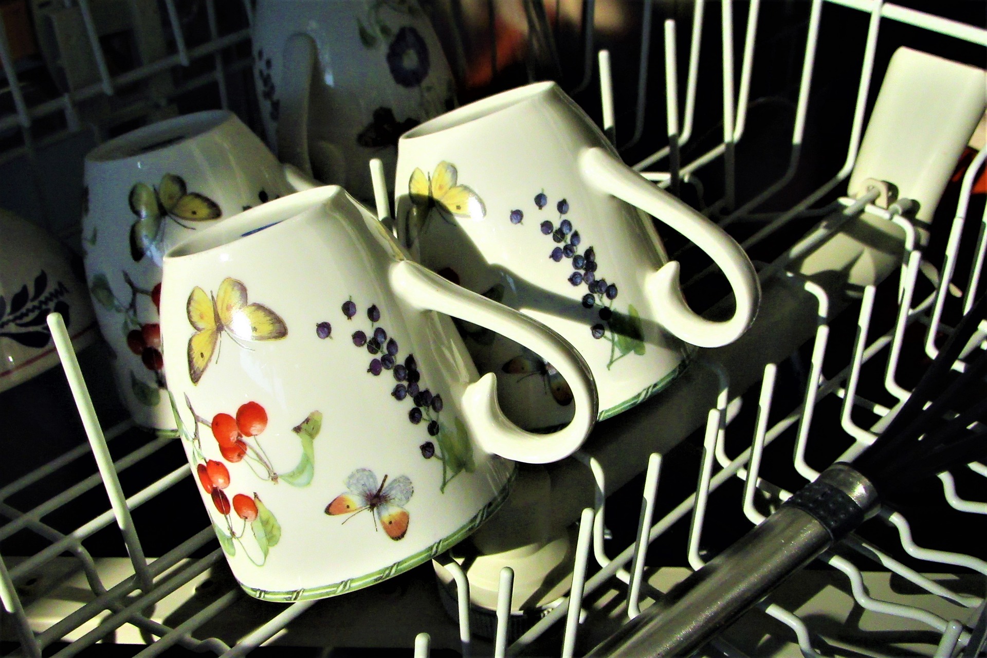 how-to-get-rid-of-smell-in-dishwasher