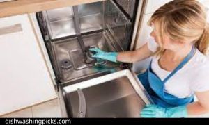 How to Clean a Smelly Dishwasher Drain Hose